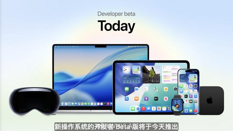 APP开发