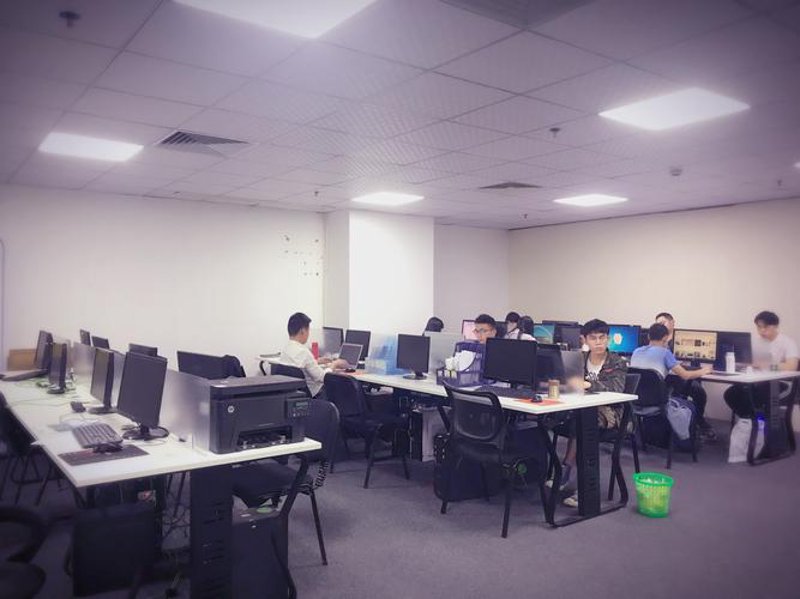软件开发助力企业数字化转型：以某某技术为例